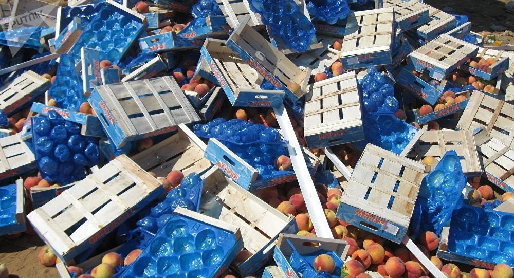 Ρωσικό εμπάργκο: Πώς οι Έλληνες παραγωγοί έμειναν χωρίς ρωσική αγορά και ευρωπαϊκή στήριξη